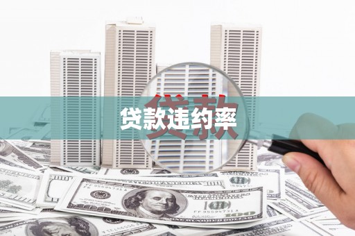 天山贷款违约率