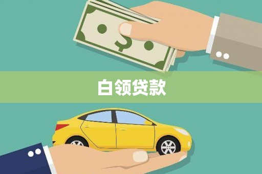 天山白领贷款