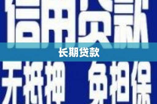 天山长期贷款
