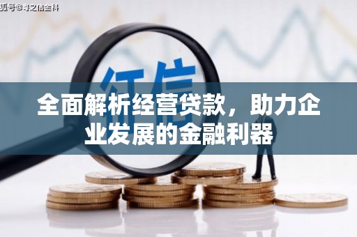 天山全面解析经营贷款，助力企业发展的金融利器