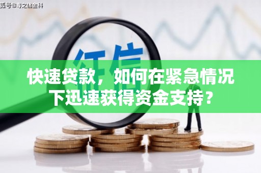 天山快速贷款，如何在紧急情况下迅速获得资金支持？