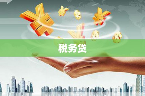天山税务贷