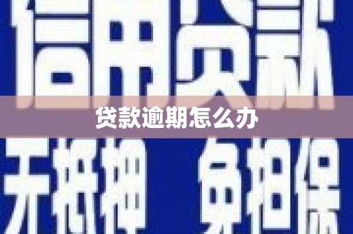 天山贷款逾期怎么办