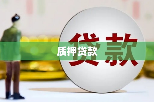 天山质押贷款