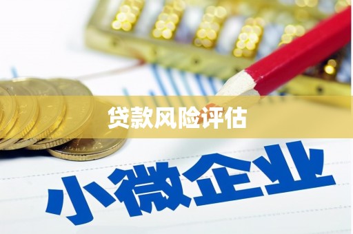 天山贷款风险评估