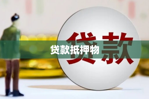 天山贷款抵押物