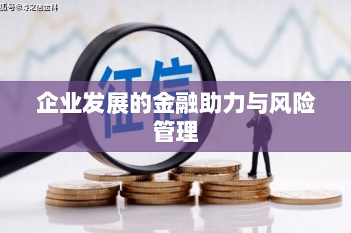 天山企业发展的金融助力与风险管理