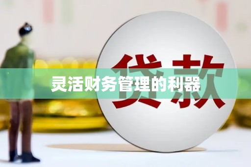 天山灵活财务管理的利器