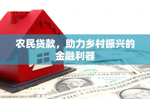 天山农民贷款，助力乡村振兴的金融利器