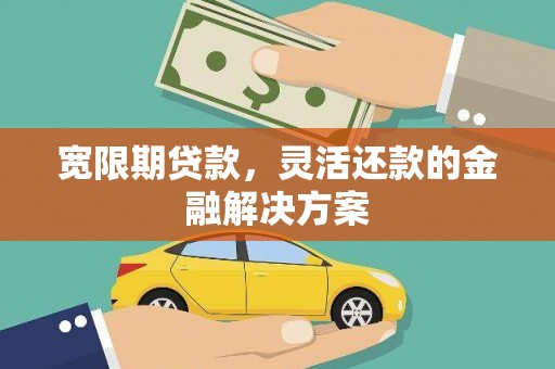 天山宽限期贷款，灵活还款的金融解决方案