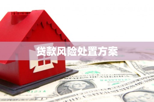 天山贷款风险处置方案