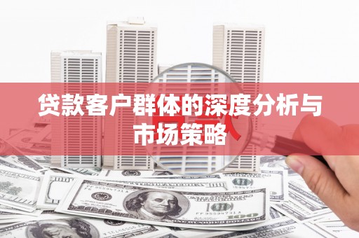 天山贷款客户群体的深度分析与市场策略