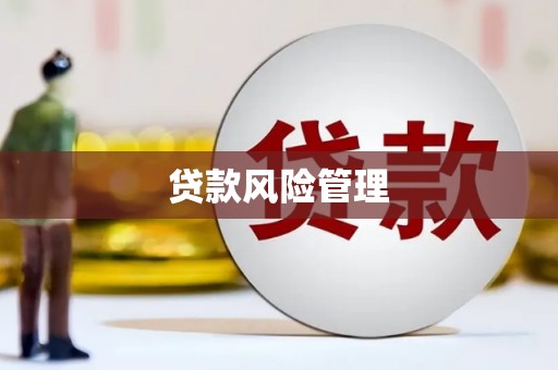 天山贷款风险管理