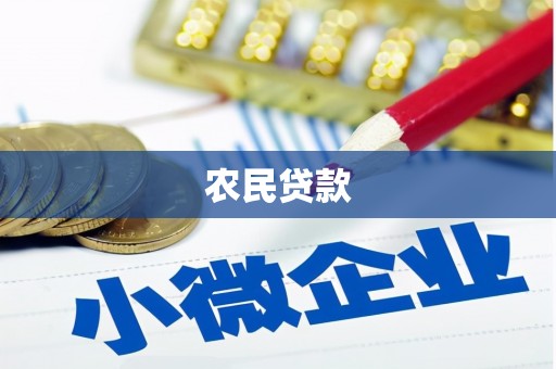 天山农民贷款