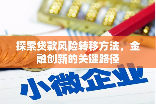 天山探索贷款风险转移方法，金融创新的关键路径