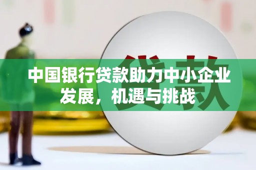天山中国银行贷款助力中小企业发展，机遇与挑战