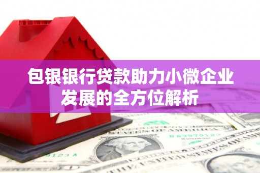 天山包银银行贷款助力小微企业发展的全方位解析