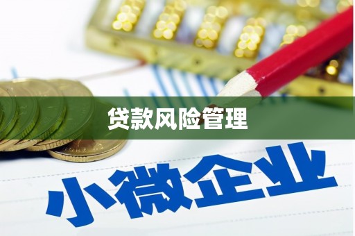 天山贷款风险管理