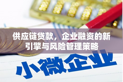 天山供应链贷款，企业融资的新引擎与风险管理策略