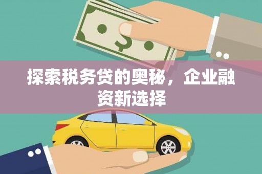 天山探索税务贷的奥秘，企业融资新选择