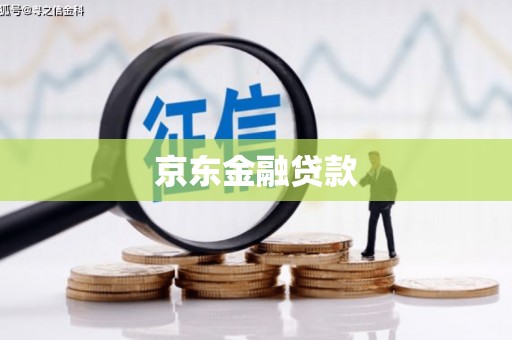 天山京东金融贷款