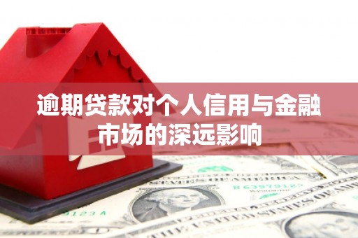 天山逾期贷款对个人信用与金融市场的深远影响