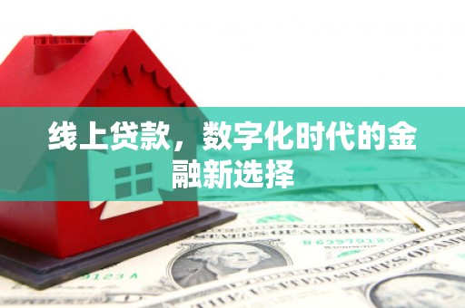 天山线上贷款，数字化时代的金融新选择
