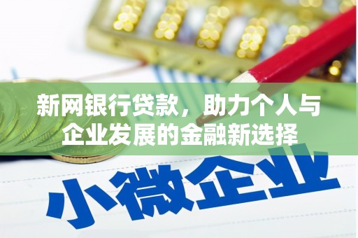 天山新网银行贷款，助力个人与企业发展的金融新选择