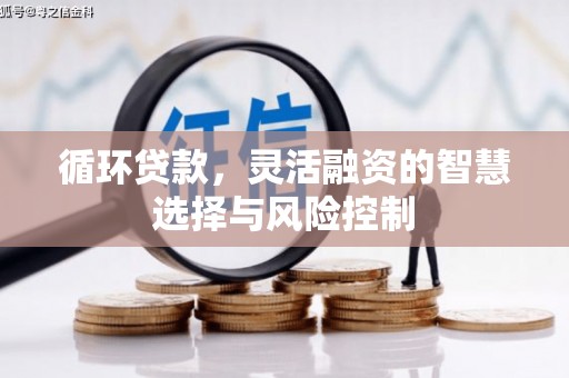 天山循环贷款，灵活融资的智慧选择与风险控制