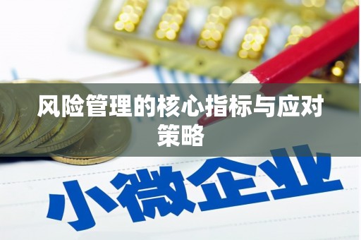 天山风险管理的核心指标与应对策略