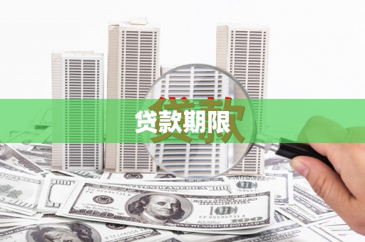 天山贷款期限