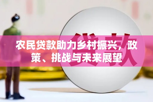 天山农民贷款助力乡村振兴，政策、挑战与未来展望