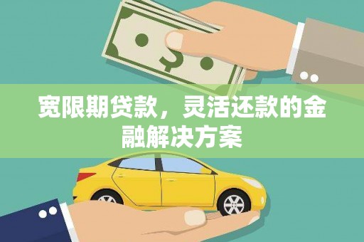 天山宽限期贷款，灵活还款的金融解决方案