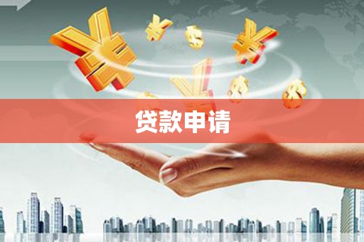 天山贷款申请