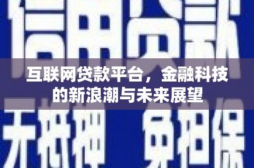 天山互联网贷款平台，金融科技的新浪潮与未来展望