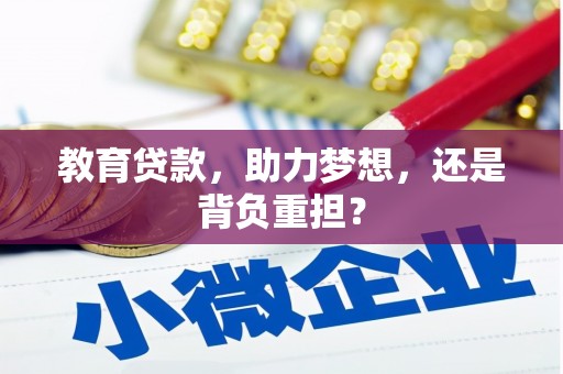 天山教育贷款，助力梦想，还是背负重担？