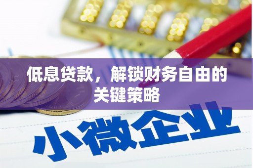 天山低息贷款，解锁财务自由的关键策略