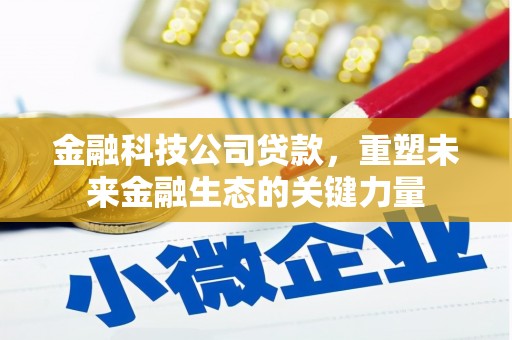 天山金融科技公司贷款，重塑未来金融生态的关键力量
