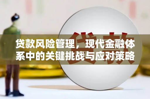 天山贷款风险管理，现代金融体系中的关键挑战与应对策略
