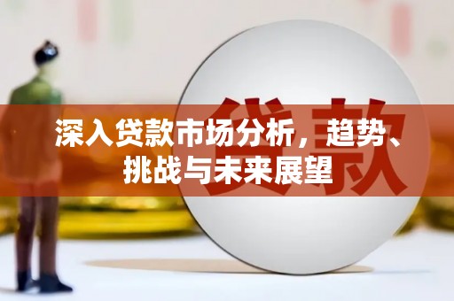 天山深入贷款市场分析，趋势、挑战与未来展望