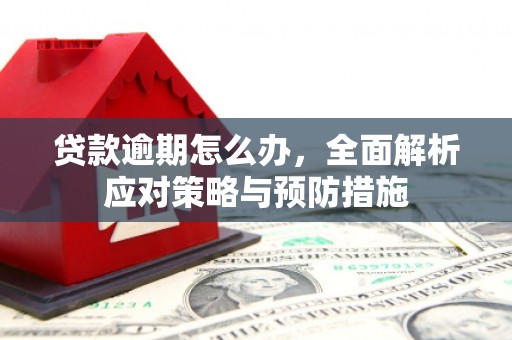 天山贷款逾期怎么办，全面解析应对策略与预防措施