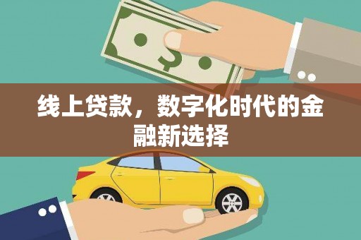 天山线上贷款，数字化时代的金融新选择