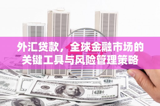 天山外汇贷款，全球金融市场的关键工具与风险管理策略