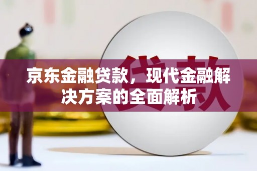 天山京东金融贷款，现代金融解决方案的全面解析