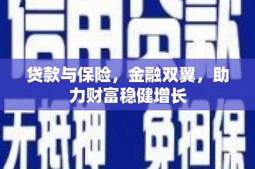 天山贷款与保险，金融双翼，助力财富稳健增长