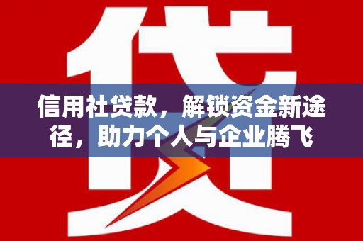 天山信用社贷款，解锁资金新途径，助力个人与企业腾飞