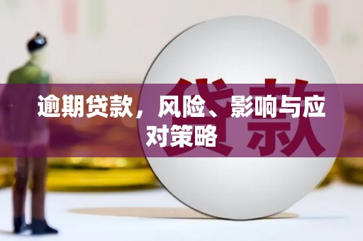 天山逾期贷款，风险、影响与应对策略