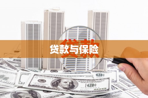 天山贷款与保险
