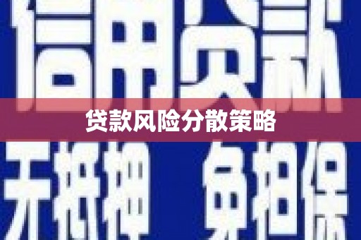 天山贷款风险分散策略