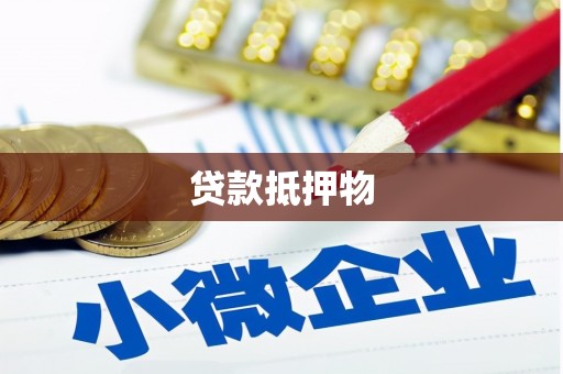 天山贷款抵押物